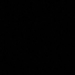 Meet your Posher, Rose